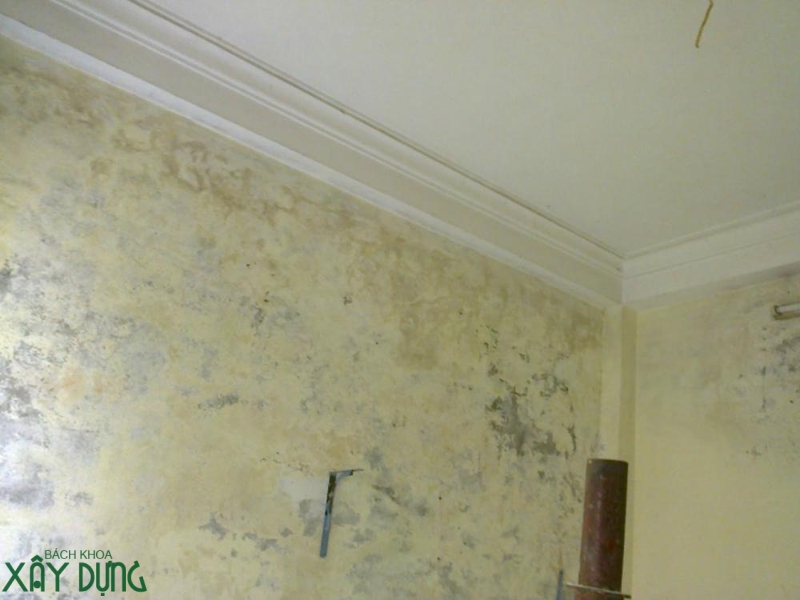 Chống thấm nhà tận gốc quận 11 call 0936890585