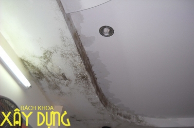 Chống thấm nhà tận gốc quận 8 call 0936890585