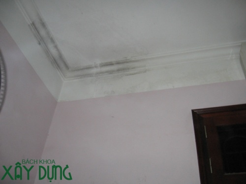 Chống thấm nhà tận gốc quận Tân Bình call 0936890585